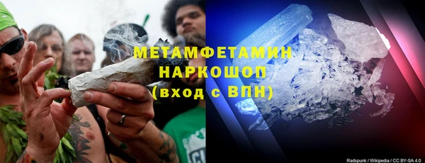 PSILOCYBIN Бородино