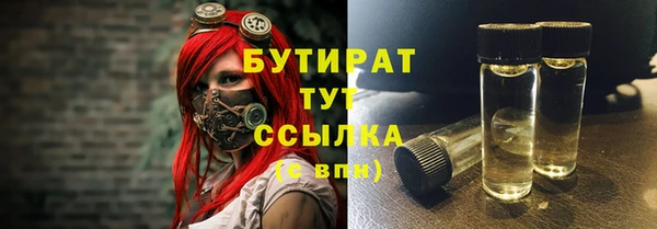 индика Бронницы