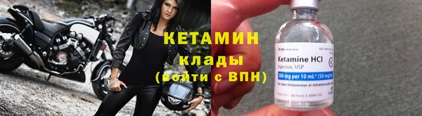 стаф Верея
