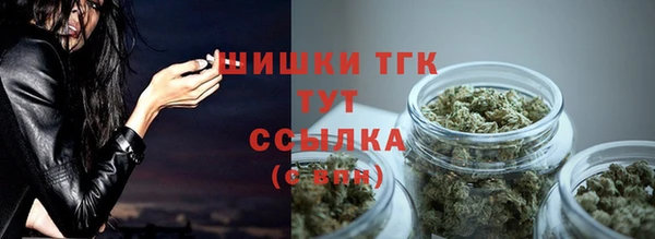 PSILOCYBIN Бородино