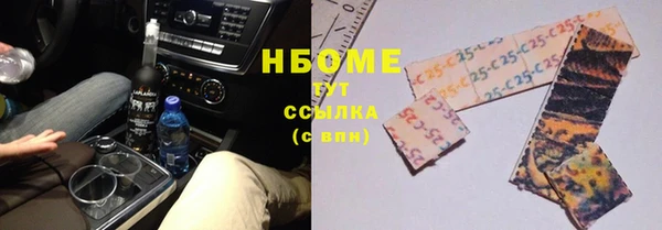 PSILOCYBIN Бородино