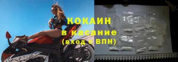 стаф Верея