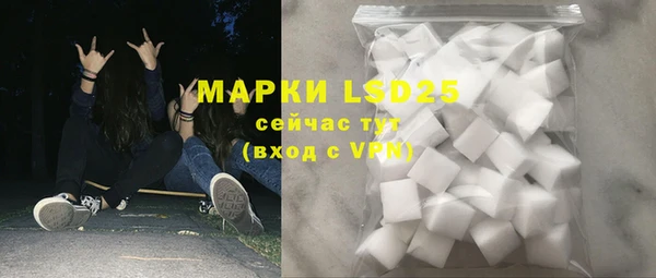 стаф Верея