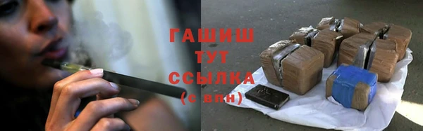 стаф Верея