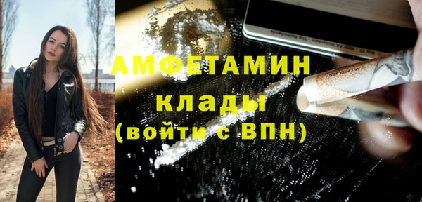 PSILOCYBIN Бородино
