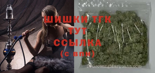 индика Бронницы