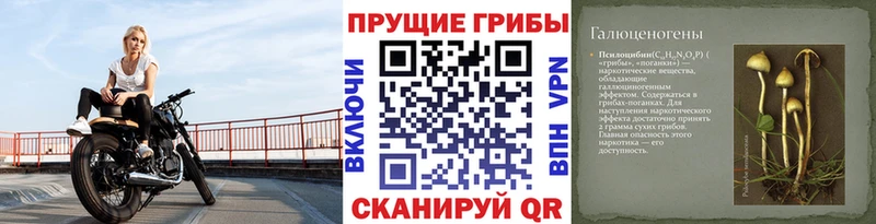Псилоцибиновые грибы MAGIC MUSHROOMS  Чегем 